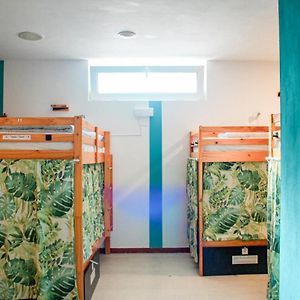 Dormitory Room Mixed
